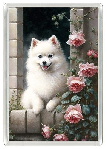 Pomeranian dog fridge - pomeranian,
