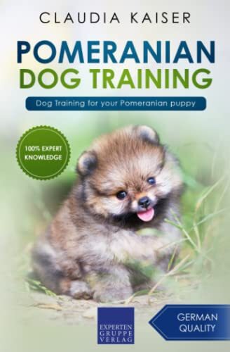 Pomeranian dog training - training,
