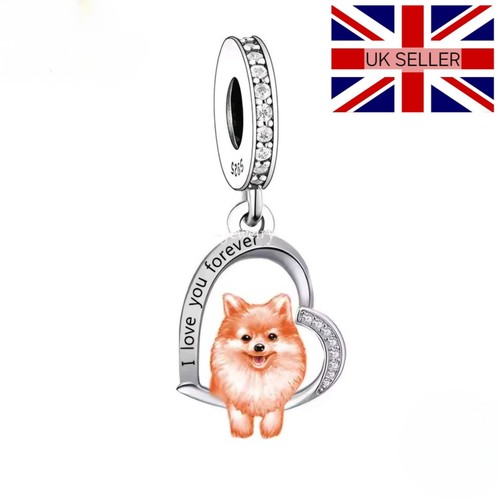 925 silver pomeranian dog - silver,