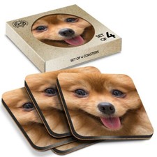 4 x Boxed Square Coasters -