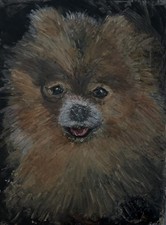 Oil Pastel Pomeranian Dog