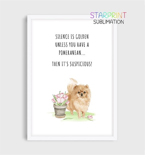 Pomeranian picture unframed - picture,,