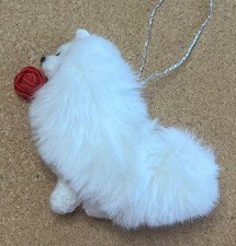 CREAM POMERANIAN with