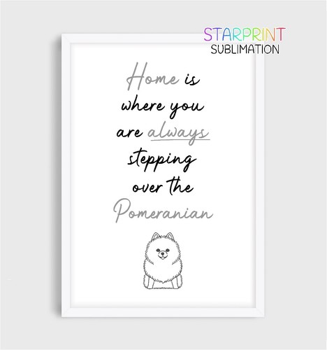 Pomeranian picture unframed - pomeranian,