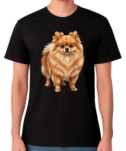 Pomeranian dog portrait - dog,