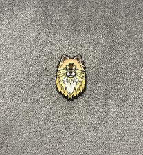 Pomeranian Dog Breed Pet