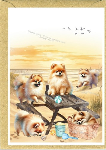 Pomeranian dog greetings - pomeranian,