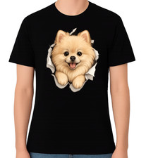 Cute Pomeranian Puppy Graphic