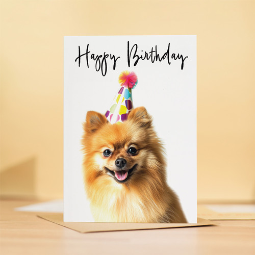 Pomeranian dog birthday card - pomeranian,