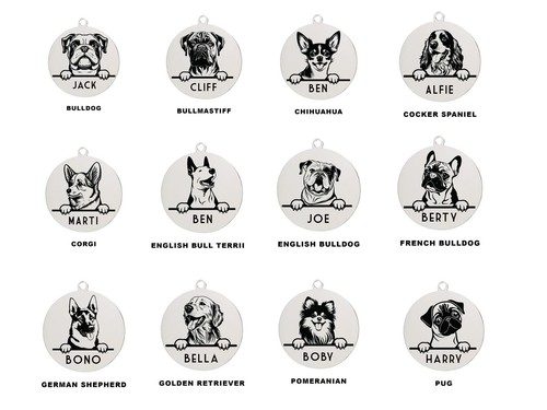 Personalised dog pet tag 2 - dog, id