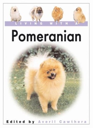 Living with pomeranian avril - living, pomeranian-avril