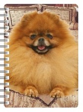 POMERANIAN 3D NOTEBOOK