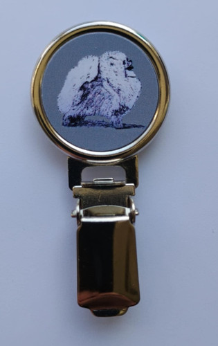 Pomeranian dog show - dog, ring