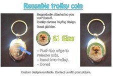 POMERANIAN DOG - REUSABLE £1