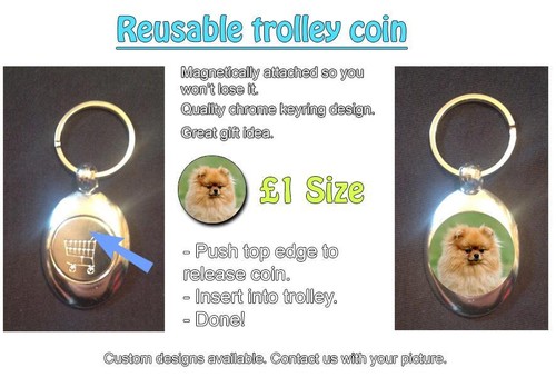 Pomeranian dog reusable 1 - -,