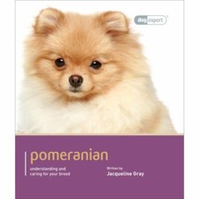 Pomeranian (Dog Expert) By
