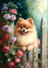 POMERANIAN PUPPY DOG GREETINGS